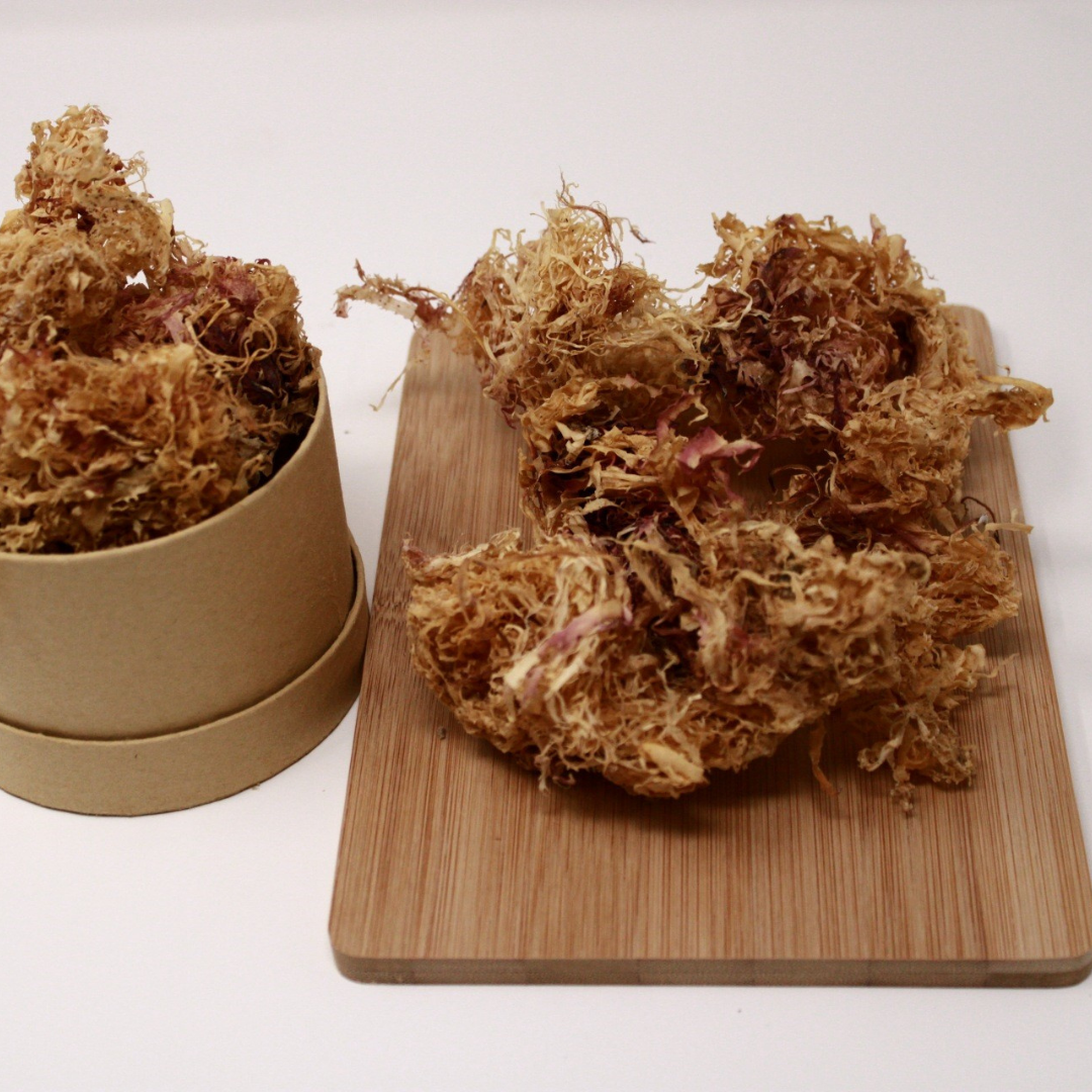 Wildcrafted Jamaican Irish Moss - Premium Nutrient-Rich Sea Moss Superfood