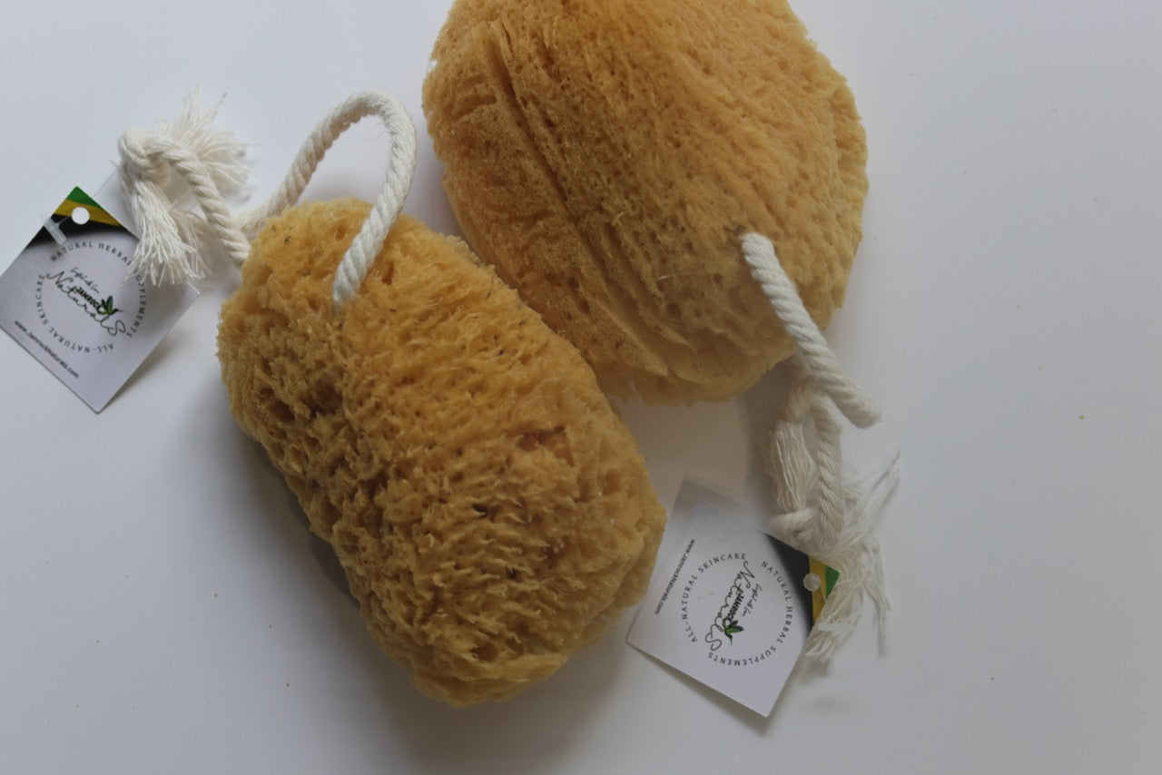 Dead Sea Natural Sponge