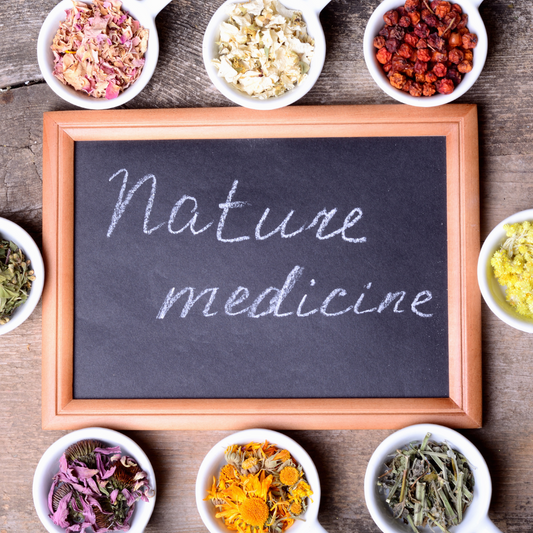 Common Herbal Remedies: Nature's Time-Tested Healing Power