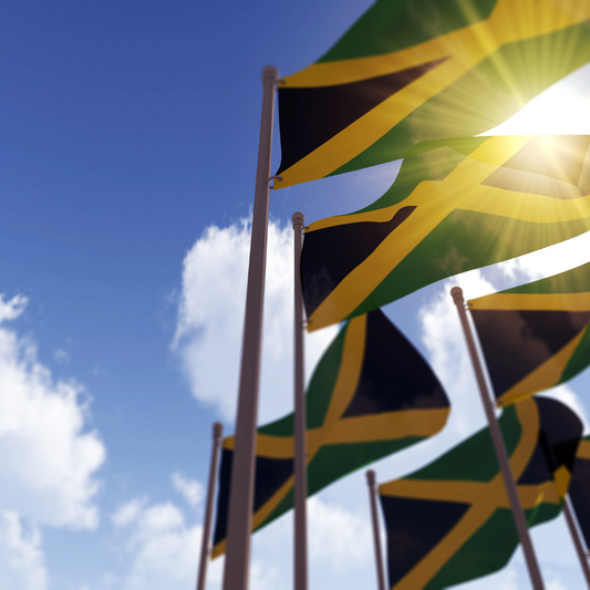 Celebrating Jamaican Independence Day: A Decade of Remarkable Achievements!