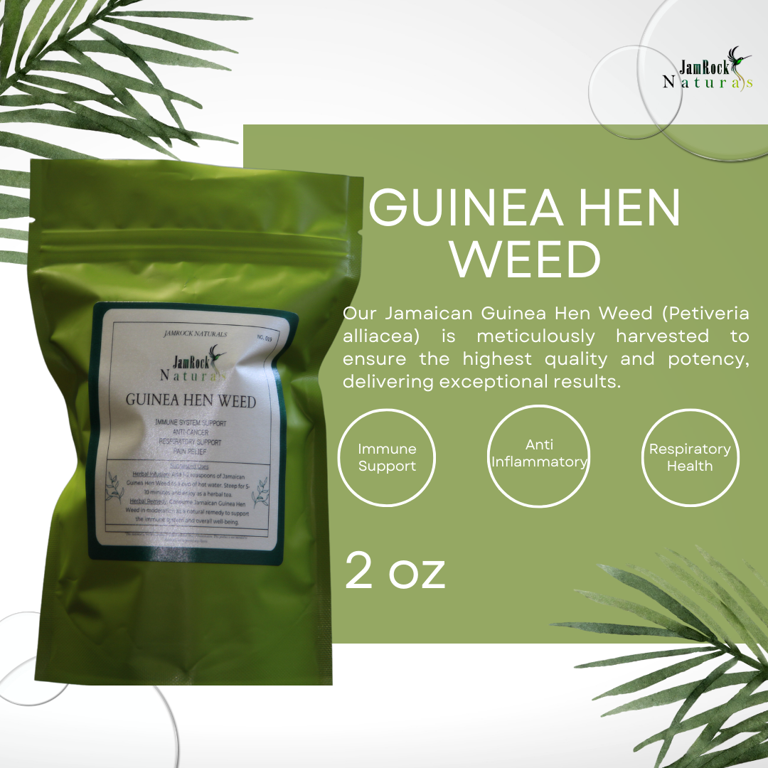 Jamaican Guinea Hen Weed - Nature's Healing Marvel