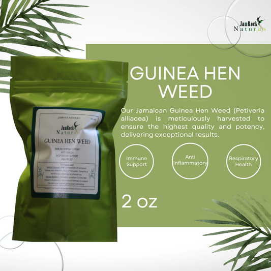 Jamaican Guinea Hen Weed - Nature's Healing Marvel