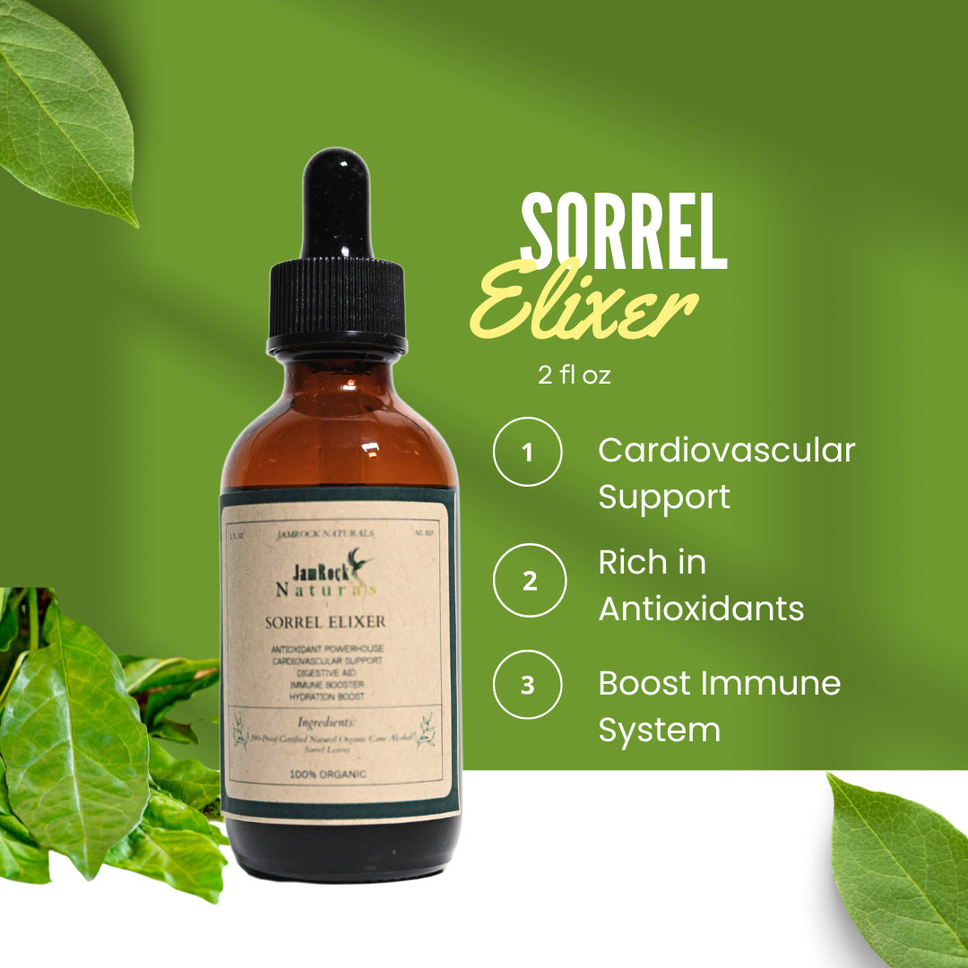 Jamaican Sorrel Elixir - Nature's Vibrant Wellness Booster, 2oz