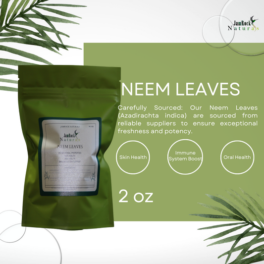 Nurturing Neem: Premium Neem Leaves for Holistic Health and Wellness