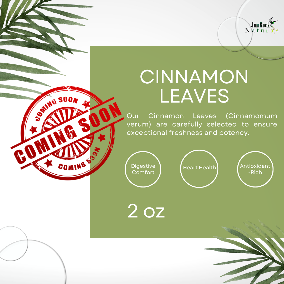 Cinnamon Comfort: Premium Cinnamon Leaves