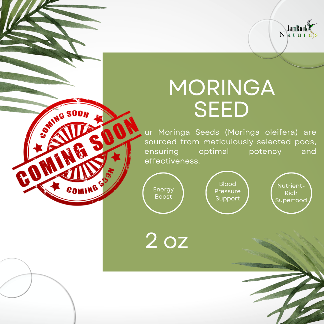 Premium Moringa Seeds: Nourishing Power