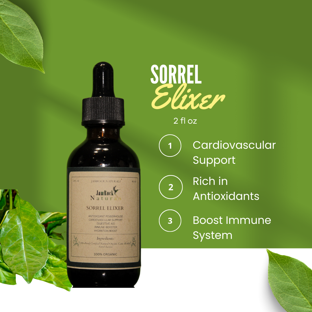 Jamaican Sorrel Elixir - Nature's Vibrant Wellness Booster