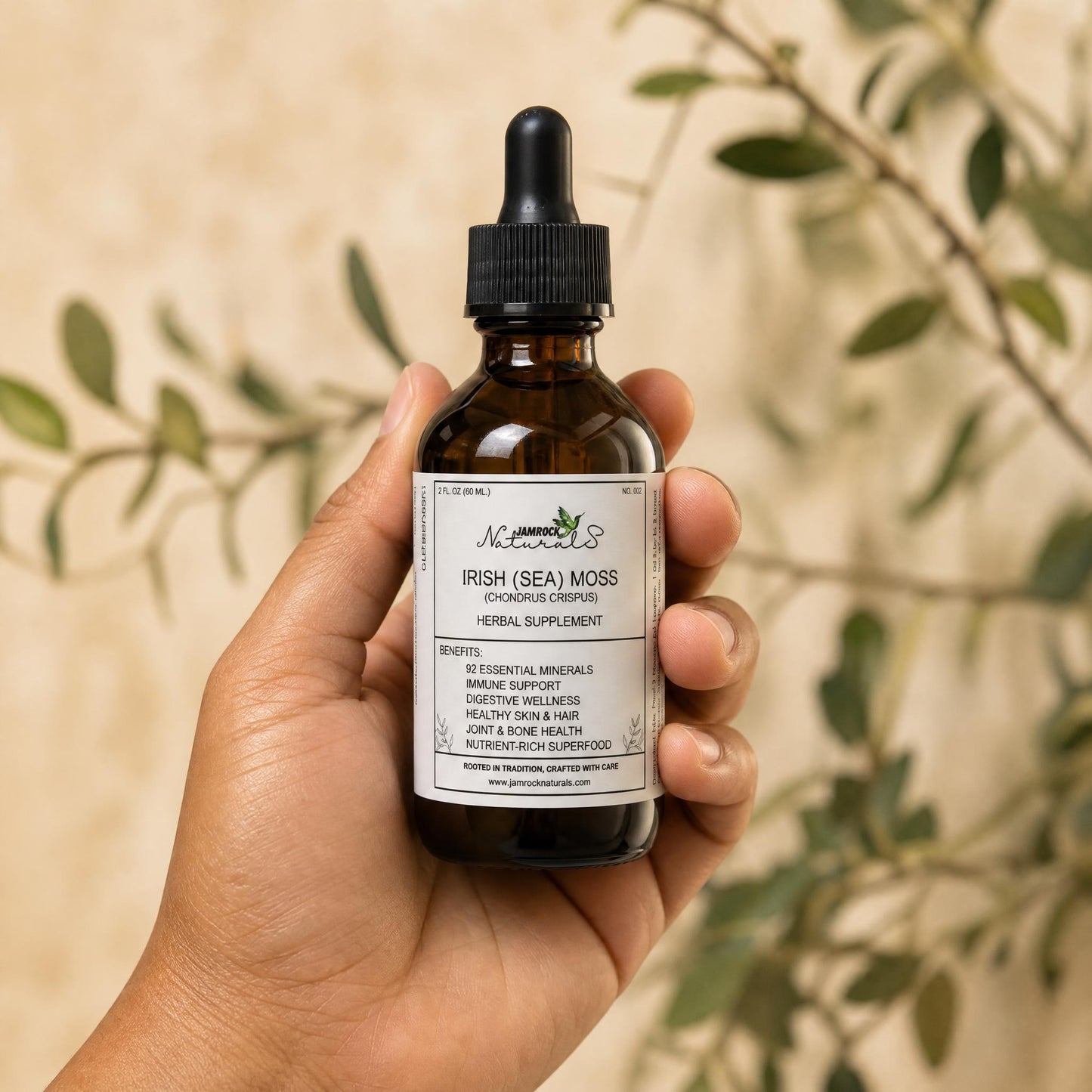 Jamaican Irish Moss Tincture- Nature's Nutrient-Rich Superfood, 2oz