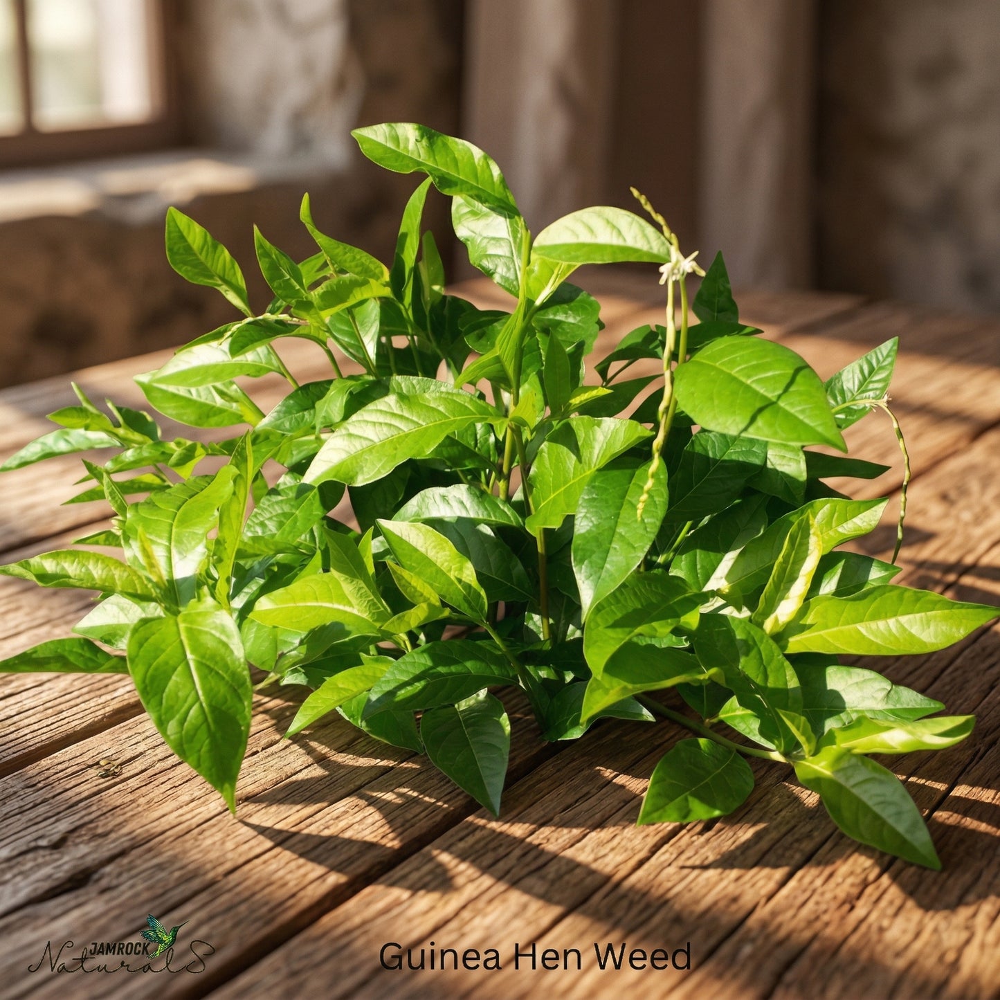 🔥 Best Seller
Guinea Hen Weed Tincture - Nature's Herbal Marvel, 2oz