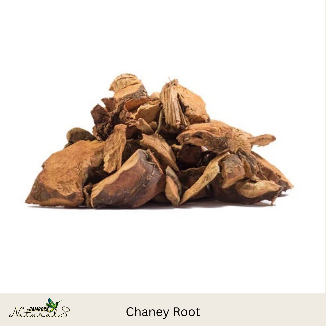 Chaney Root Tincture – Iron-Rich Tonic for Vitality and Strength, 2 oz