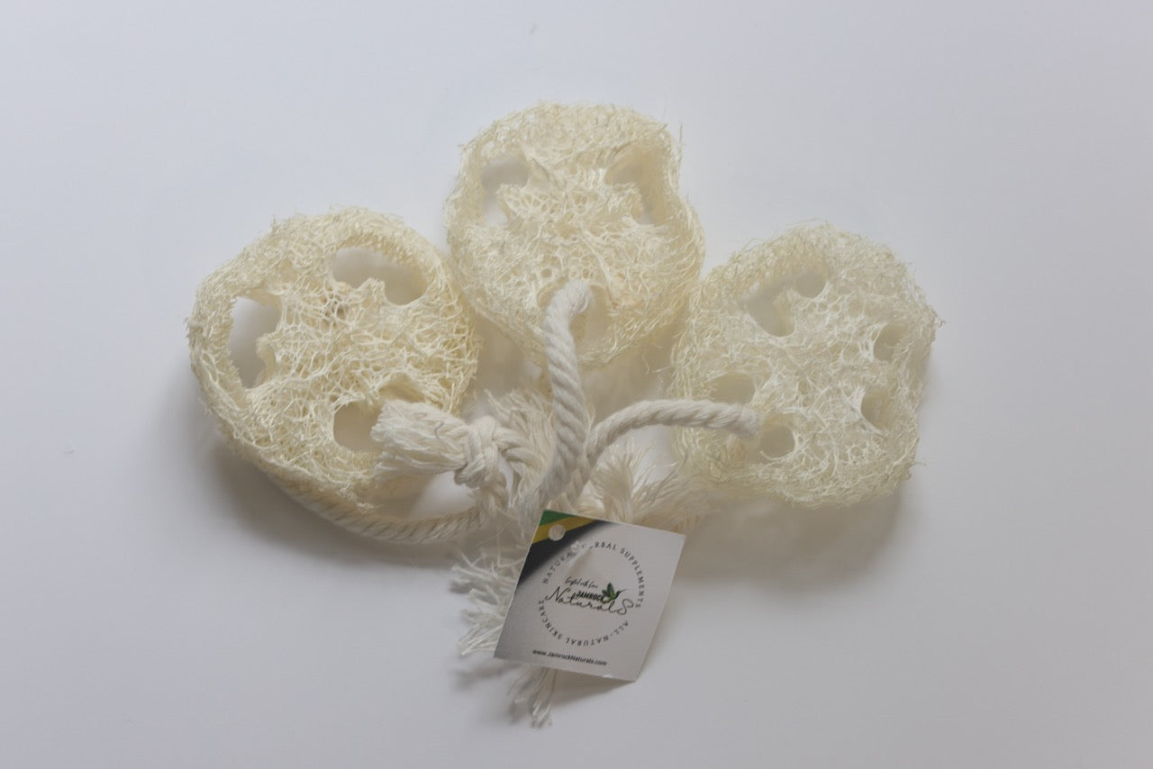 Luffa Facial Discs – 7/8" (Pack of 3)