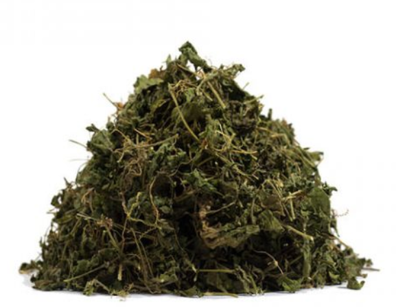 Jamaican Cerasee - Nature's Herbal Marvel (Dried)